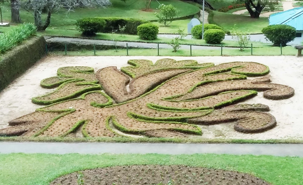 Gardening 1024x624 jpg