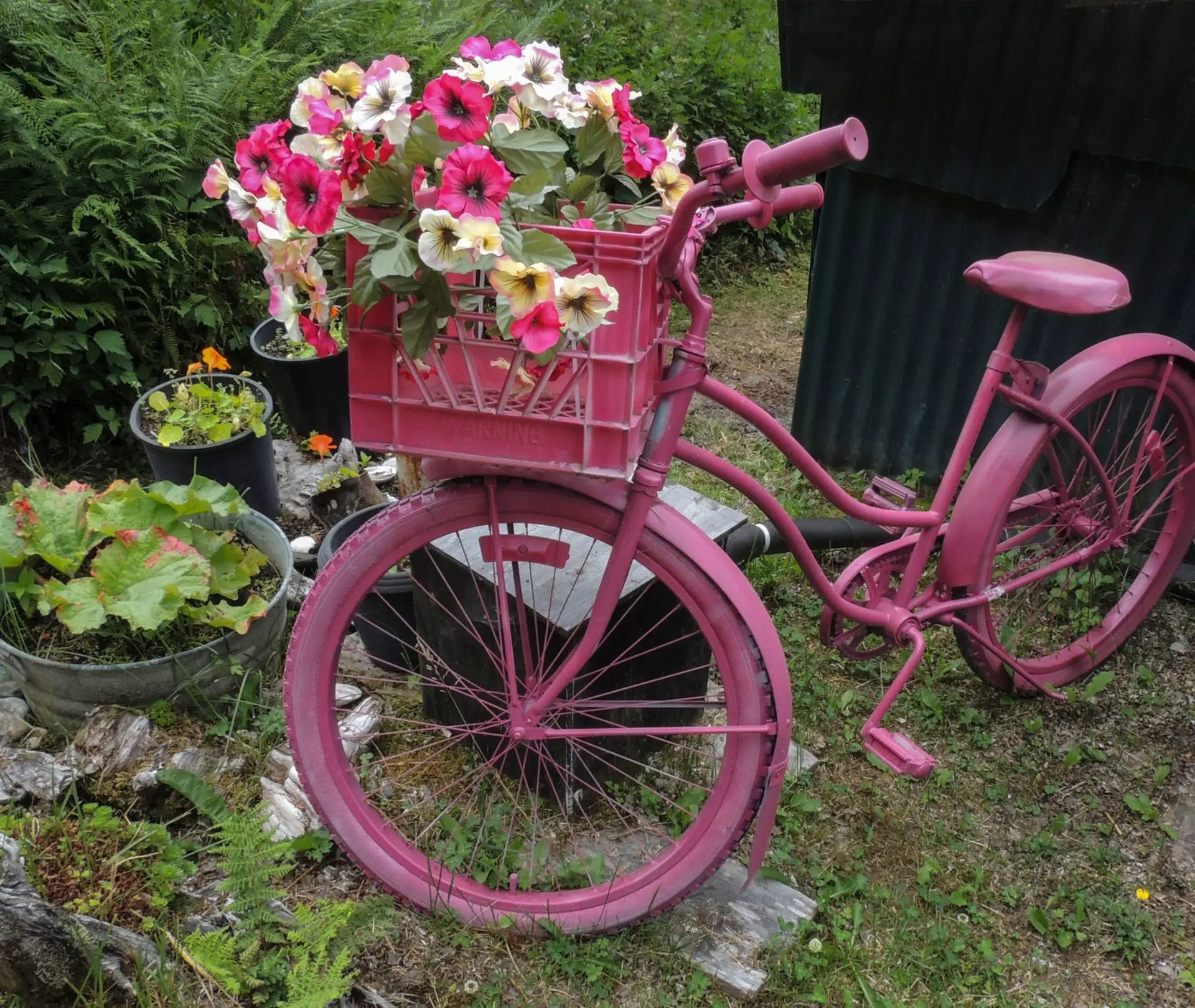 Bicycle as garden decoration