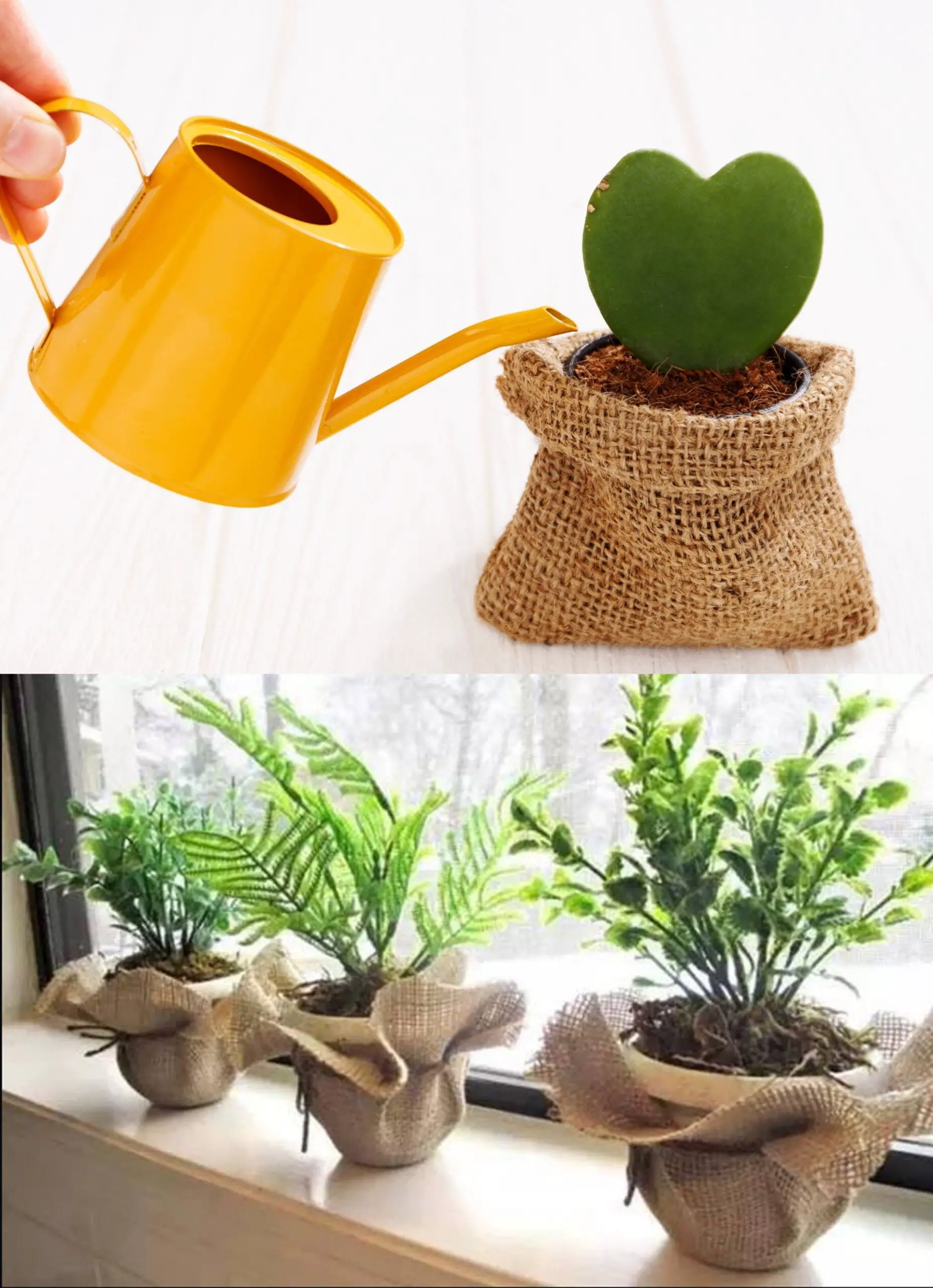 Burlap bag use as flower pots