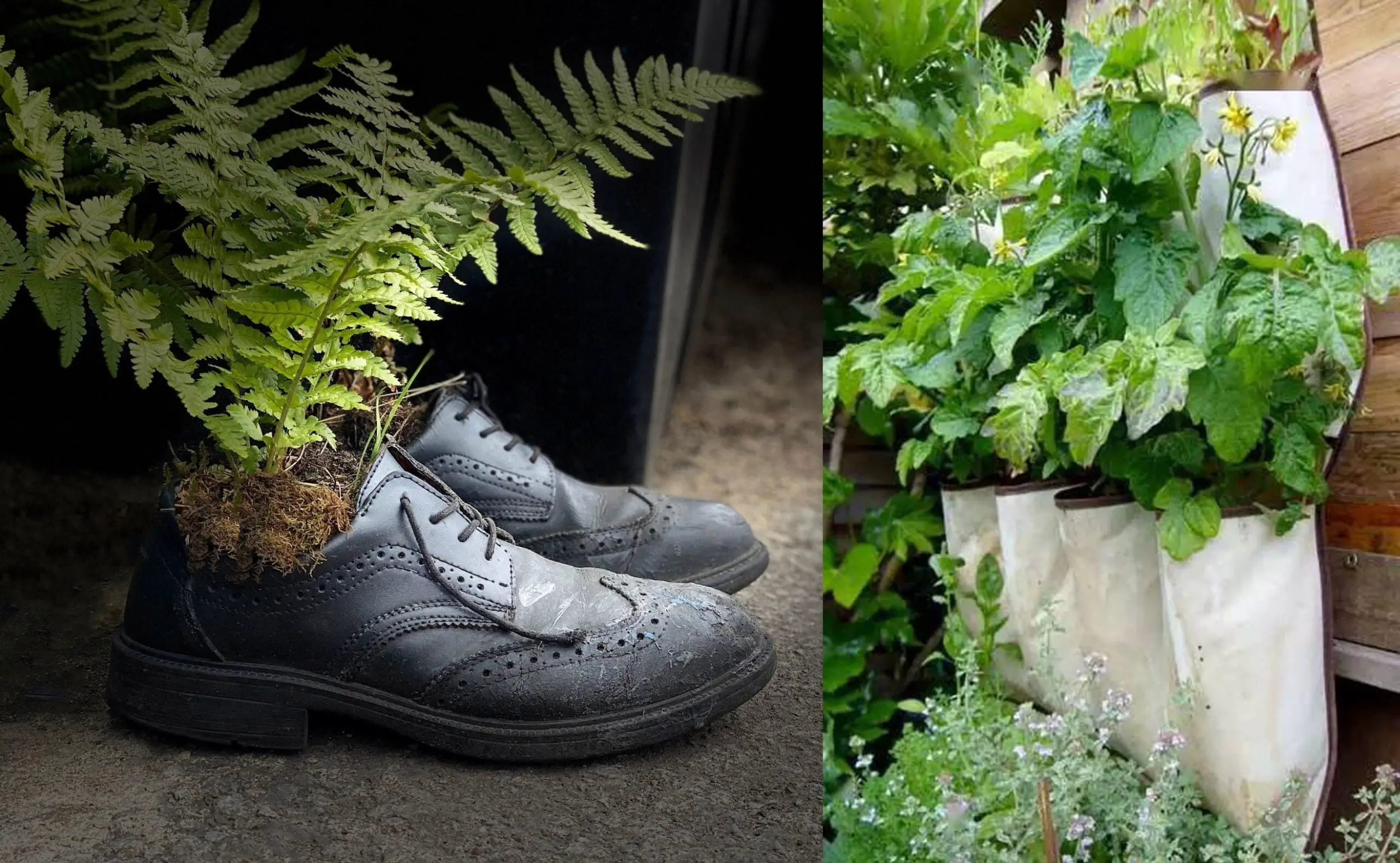 Old shoes and bags as flower pots