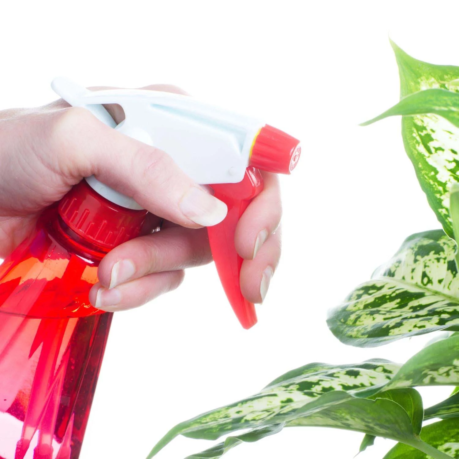 Spray soap water