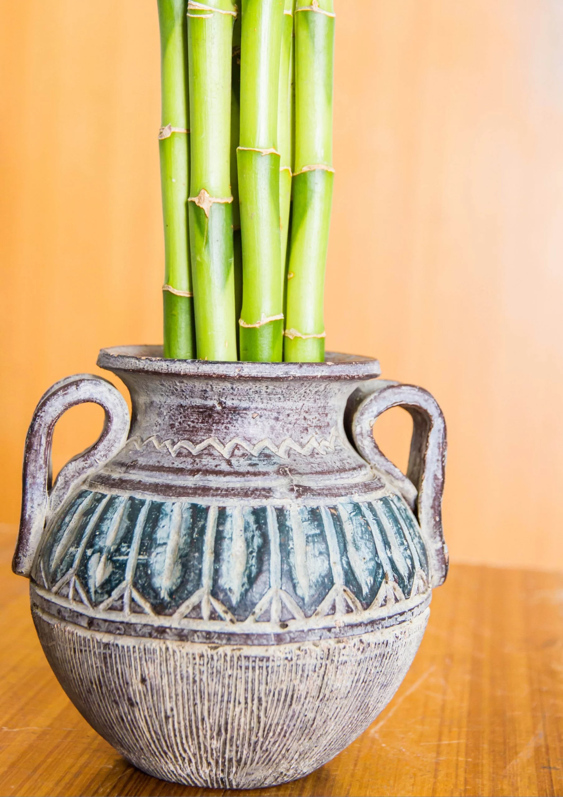 Porcelain pot