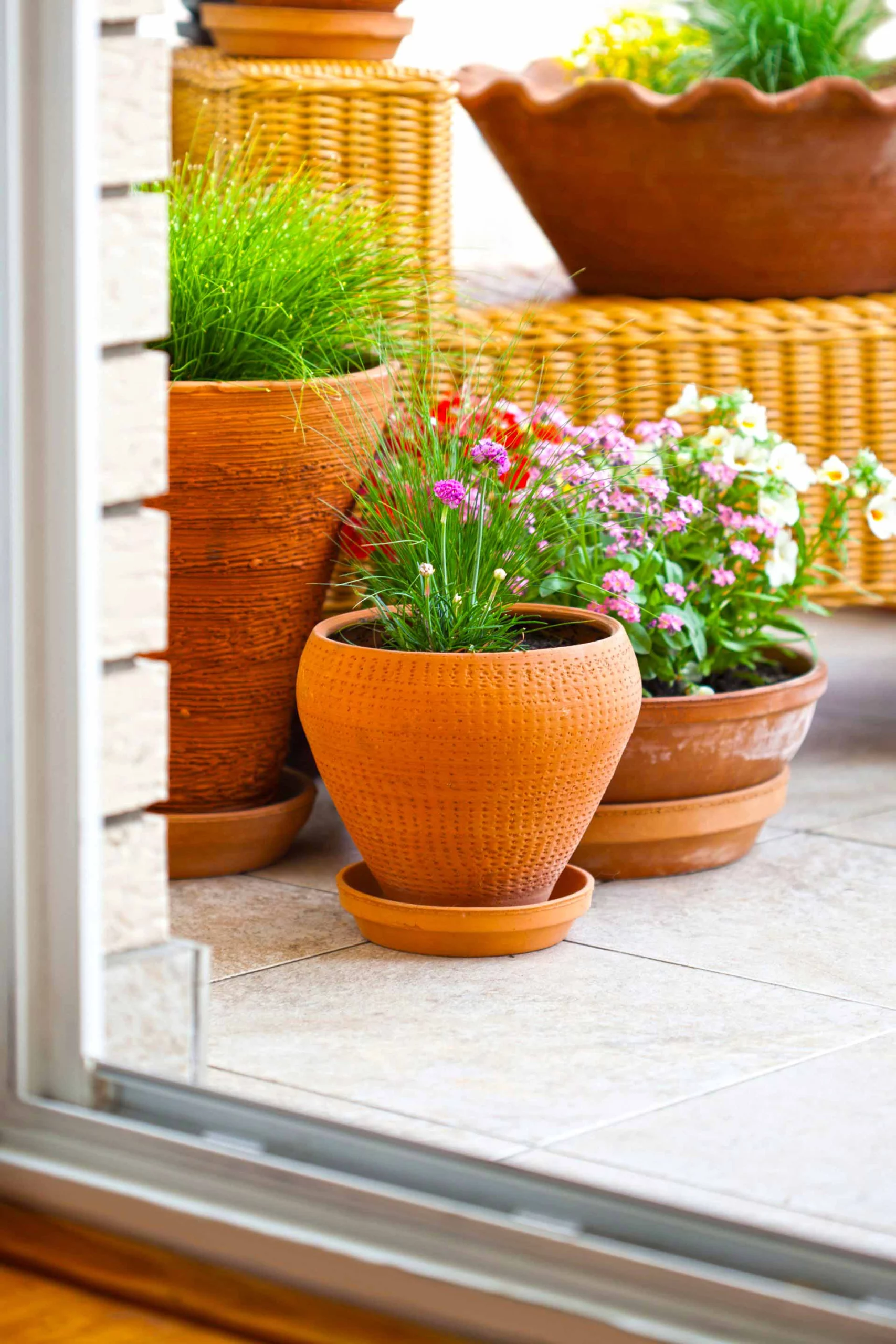 Flower pots on balcony