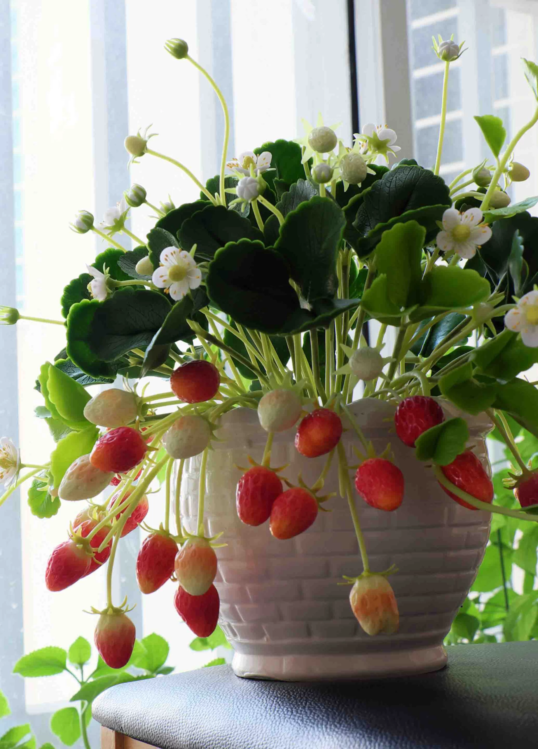 Strawberry pot