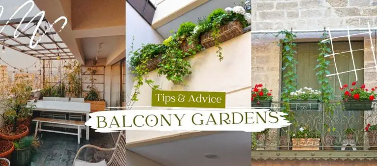 Tips And Advice For Beautiful Balcony