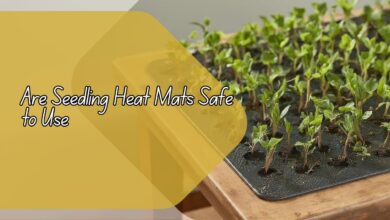 Are Seedling Heat Mats Safe to Use