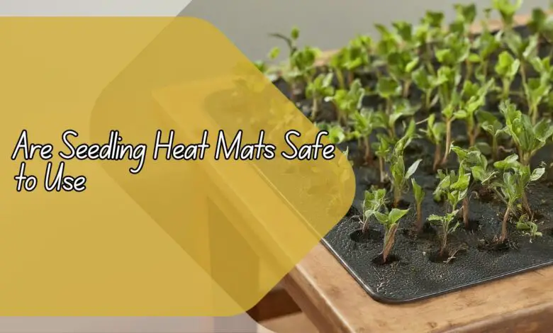 Are Seedling Heat Mats Safe to Use