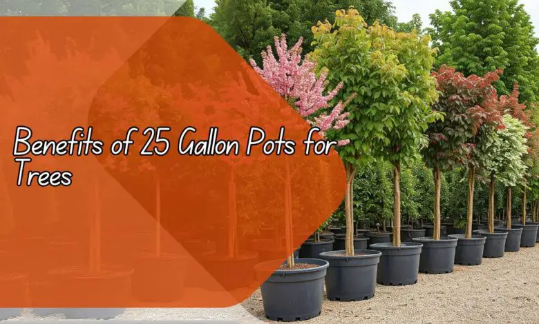 Benefits of 25 Gallon Pots for Trees