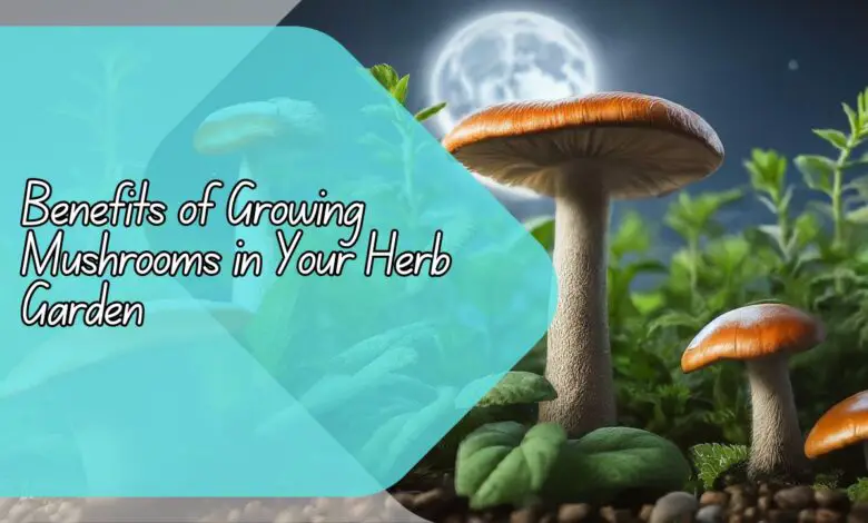 Benefits of Growing Mushrooms in Your Herb Garden