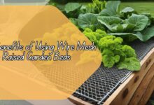 Benefits of Using Wire Mesh in Raised Garden Beds