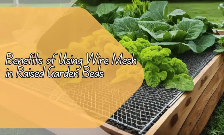 Benefits of Using Wire Mesh in Raised Garden Beds