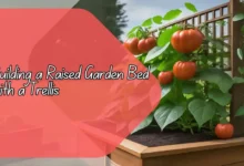 Building a Raised Garden Bed with a Trellis