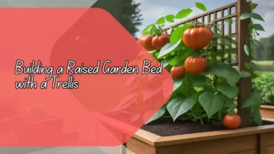 Building a Raised Garden Bed with a Trellis