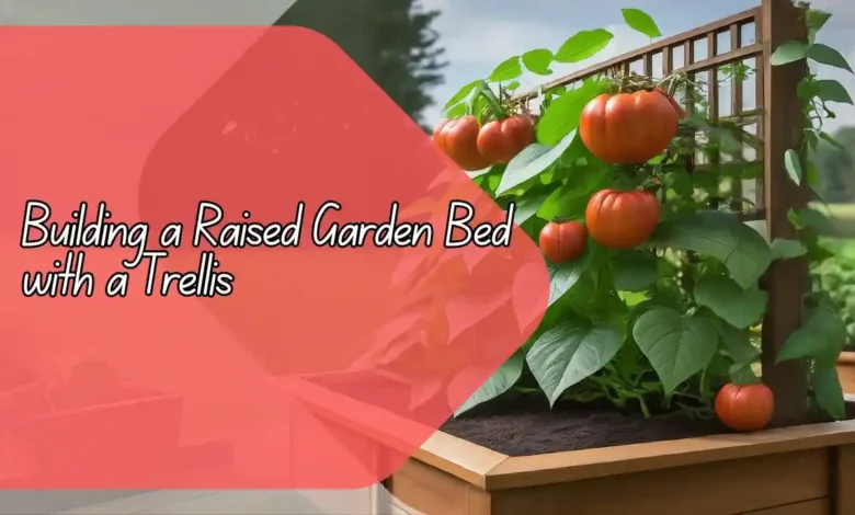 Building a Raised Garden Bed with a Trellis