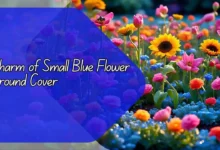 Charm of Small Blue Flower Ground Cover