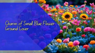 Charm of Small Blue Flower Ground Cover