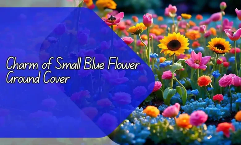 Charm of Small Blue Flower Ground Cover