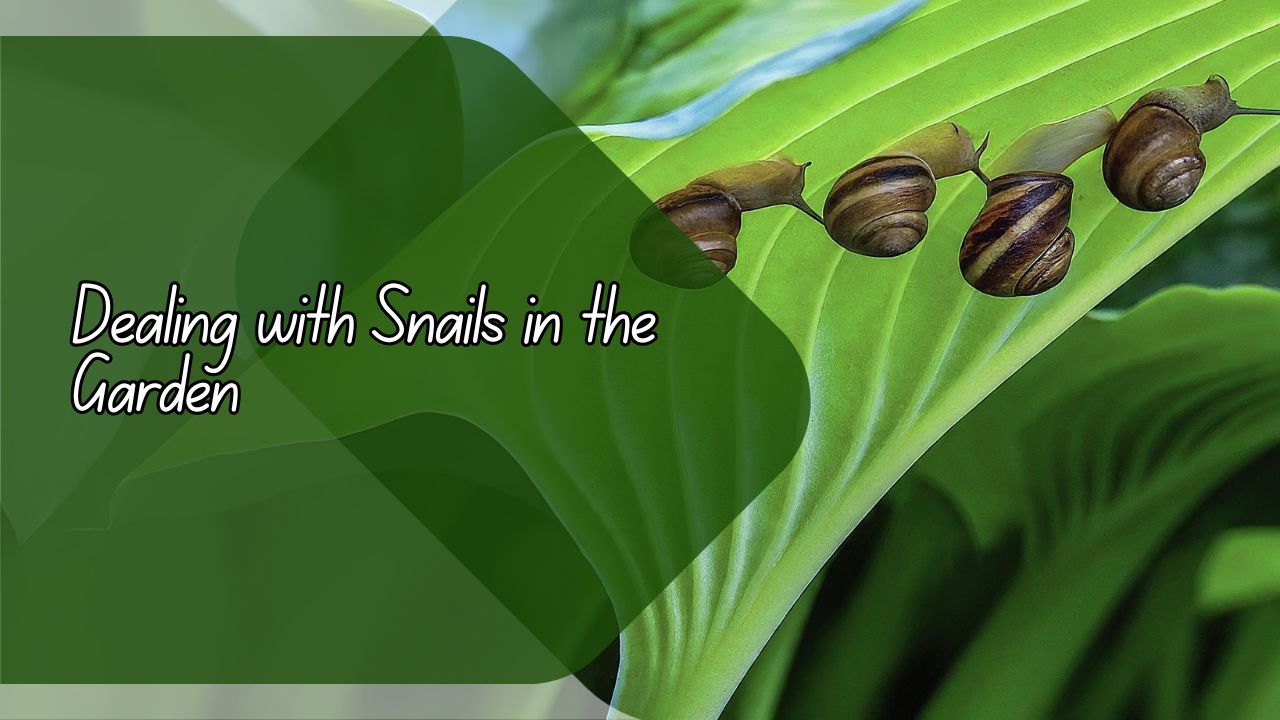 Dealing With Snails In The Garden How To Protect Your Plants