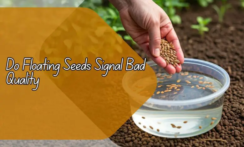 Do Floating Seeds Signal Bad Quality