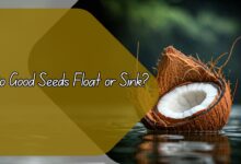 Do Good Seeds Float or Sink