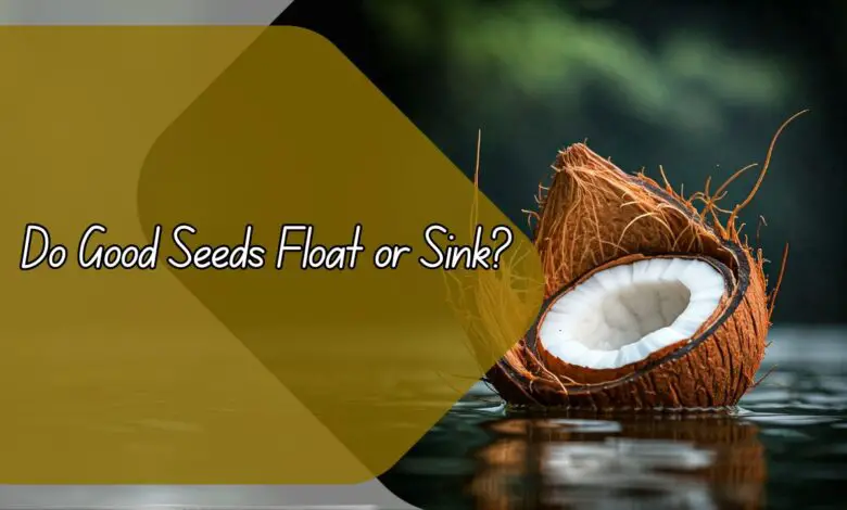 Do Good Seeds Float or Sink