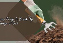 Easy Ways to Break Up Clumps of Dirt