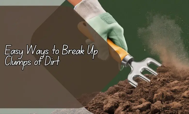 Easy Ways to Break Up Clumps of Dirt