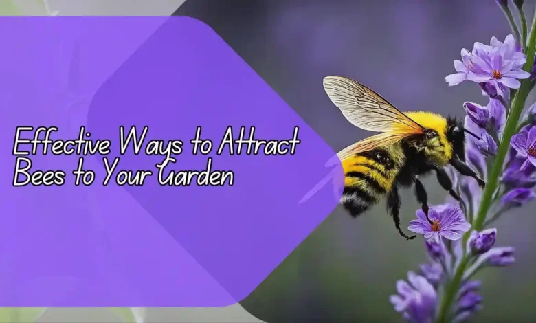 Effective Ways to Attract Bees to Your Garden