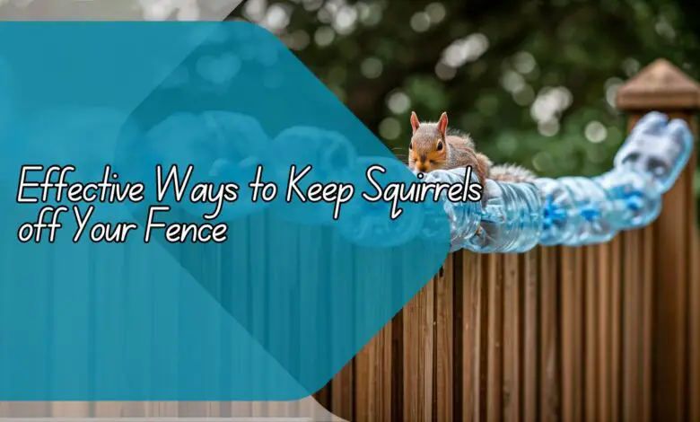 Effective Ways to Keep Squirrels off Your Fence