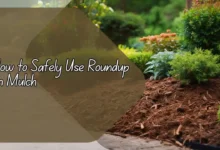 How to Safely Use Roundup on Mulch