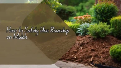 How to Safely Use Roundup on Mulch