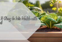 Is It Okay to Mix Mulch with Soil