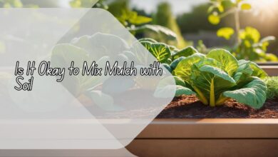 Is It Okay to Mix Mulch with Soil