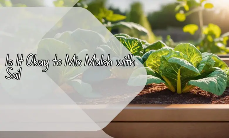 Is It Okay to Mix Mulch with Soil