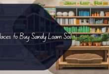 Places to Buy Sandy Loam Soil