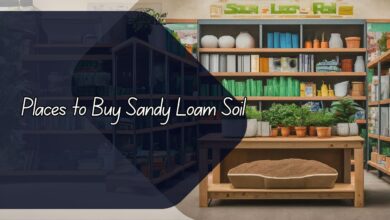 Places to Buy Sandy Loam Soil