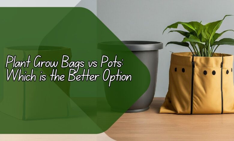 Plant Grow Bags vs Pots