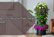 Plants to Thrive in Your Garden Tower 2
