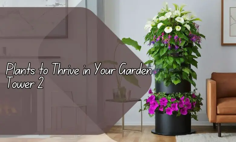 Plants to Thrive in Your Garden Tower 2