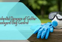 Potential Dangers of Cutter Backyard Bug Control