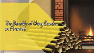 The Benefits of Using Bamboo as Firewood