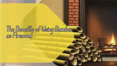 The Benefits of Using Bamboo as Firewood