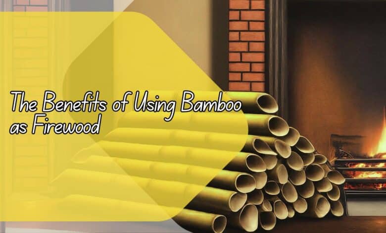 The Benefits of Using Bamboo as Firewood