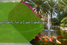 Top Plants for a Lush Landscape