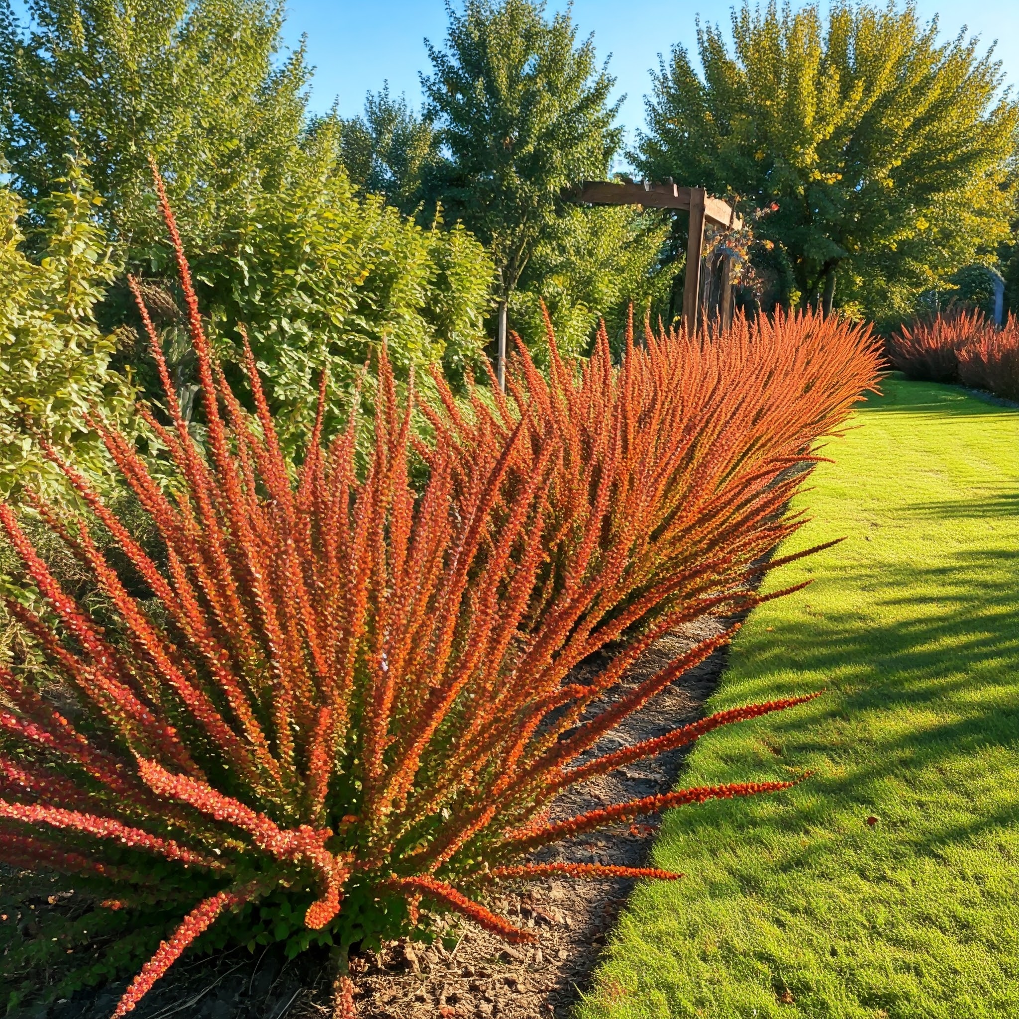 beautifully maintained Zone 6 garden