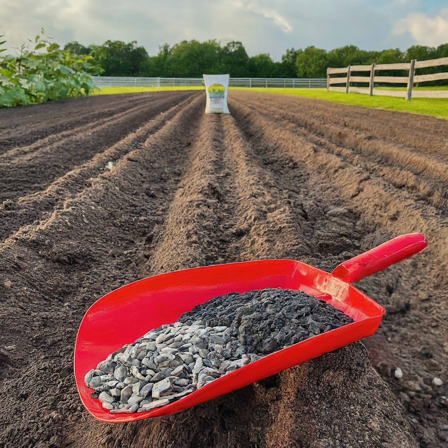 garden with rows of newly tilled soil