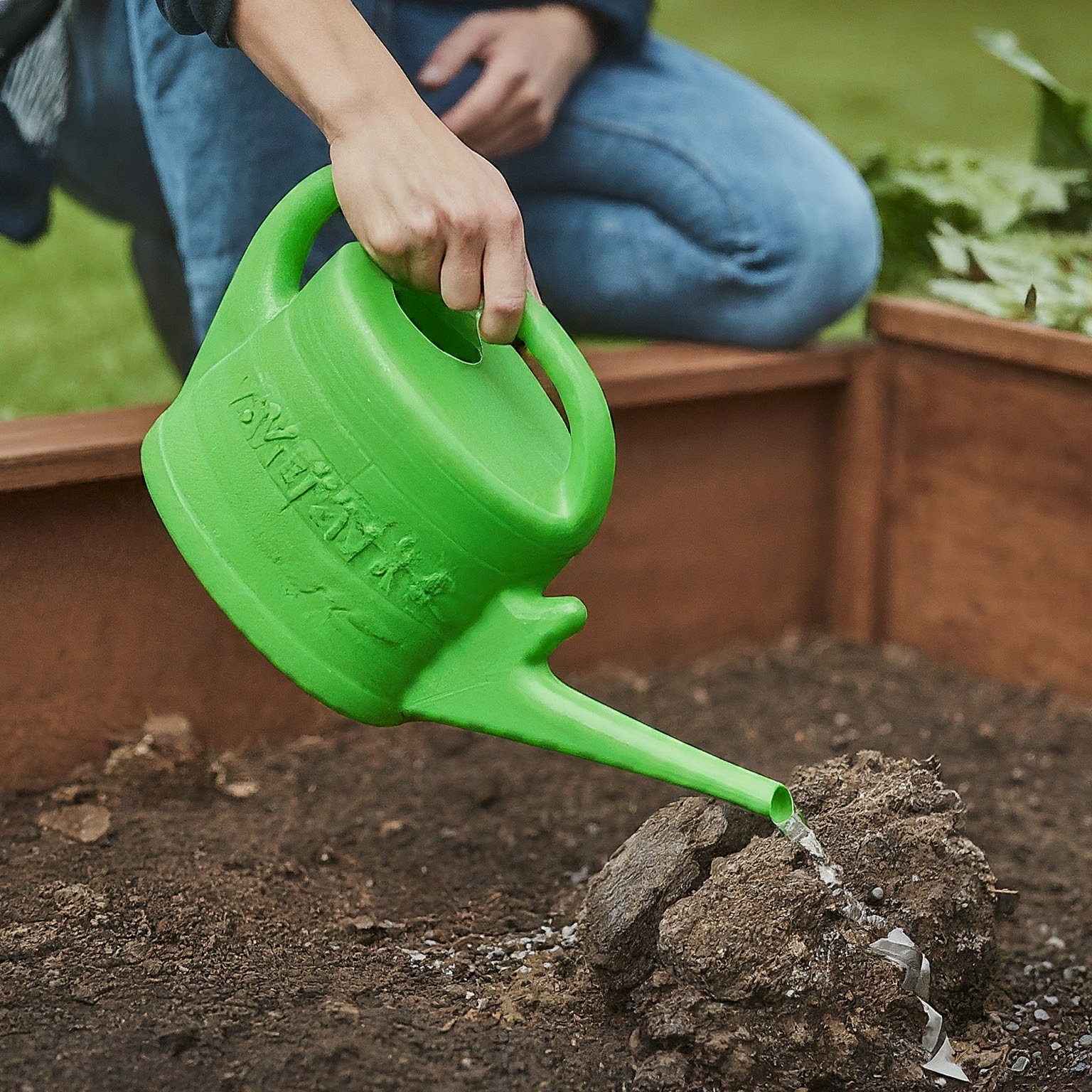 green watering can with a long spout and gently watering