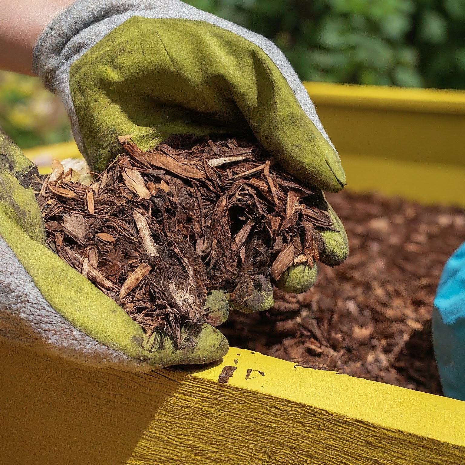 layering a mixture of straw and wood chips into a raised garden bed