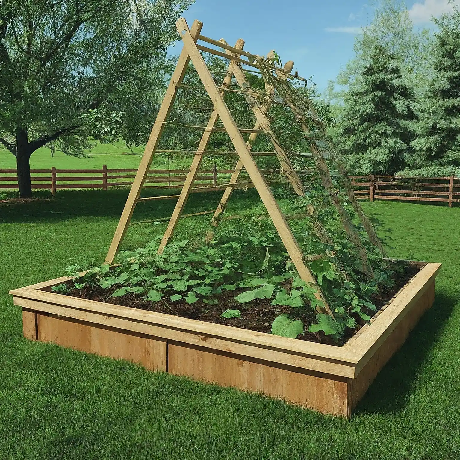 raised garden bed with a simple A-frame trellis