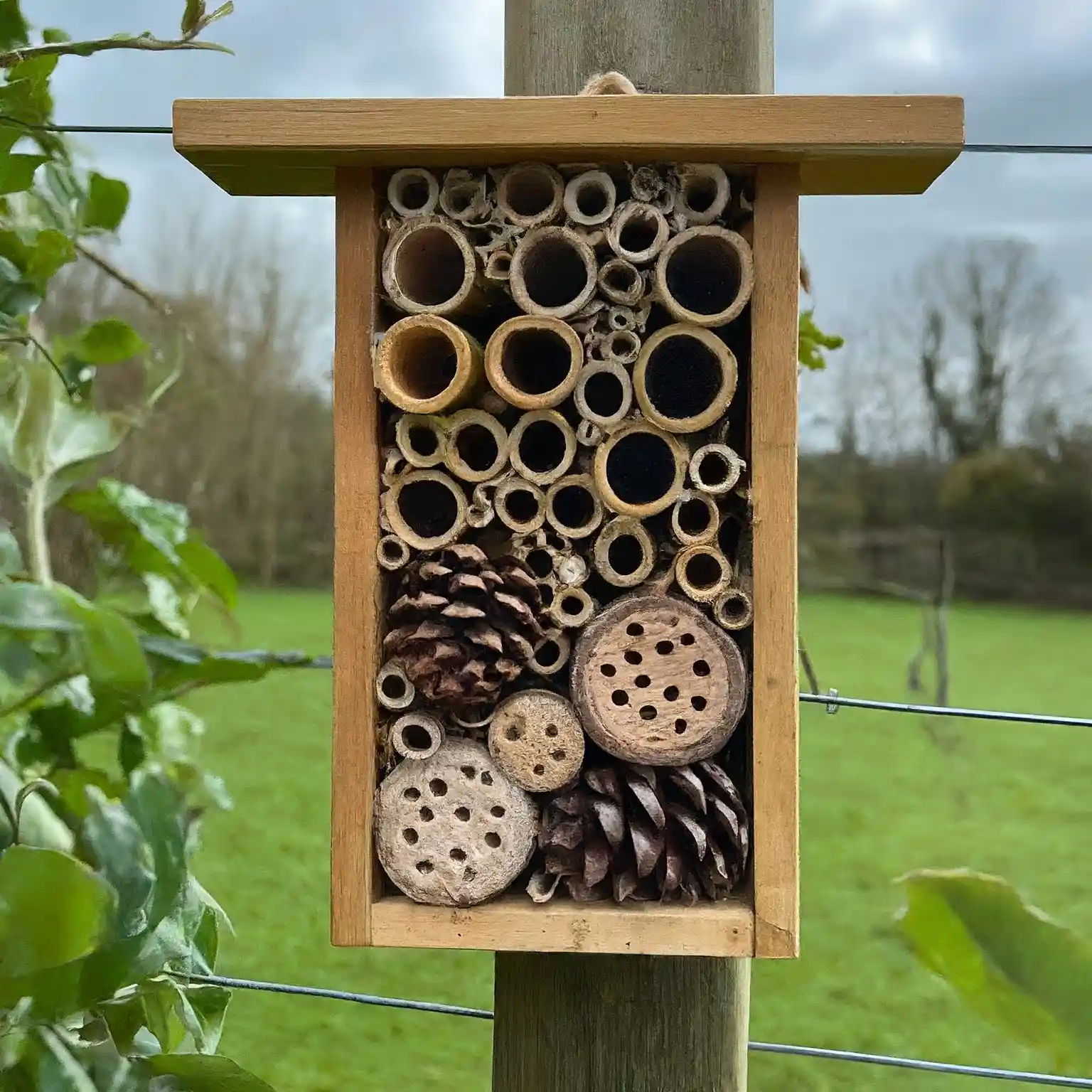 rustic wooden table filled with bee house supplies